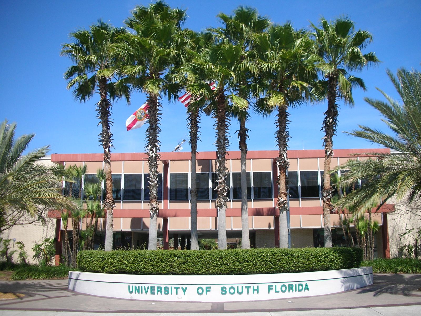 University-of-South-Florida